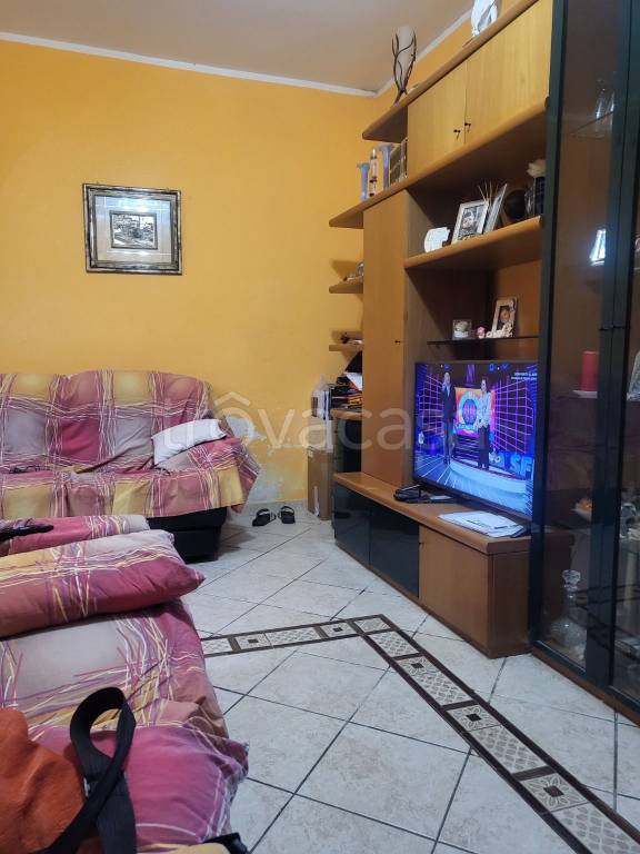 immagine annuncio 3 di 14
