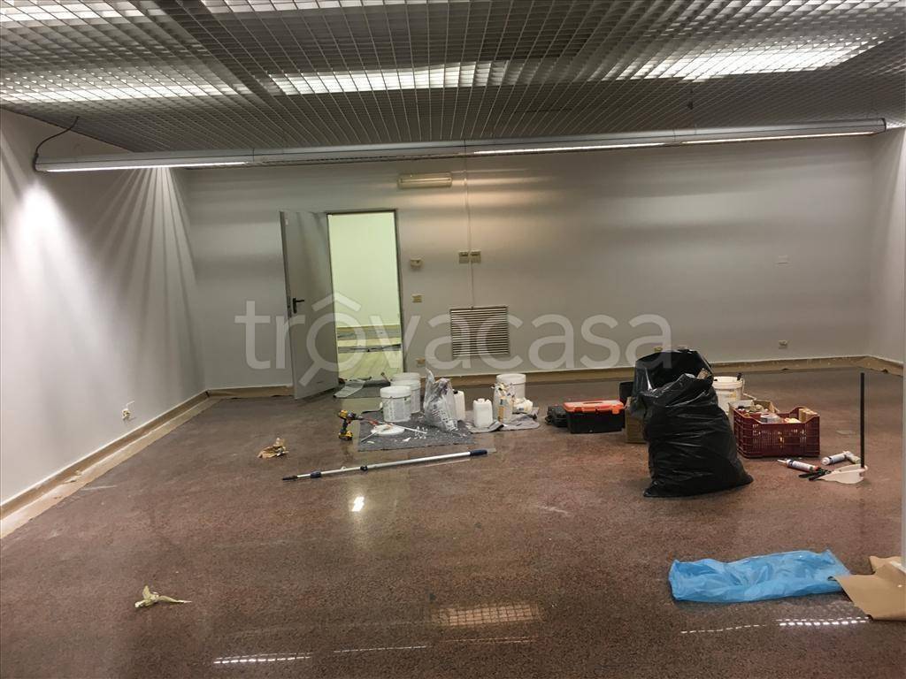 immagine annuncio 3 di 7