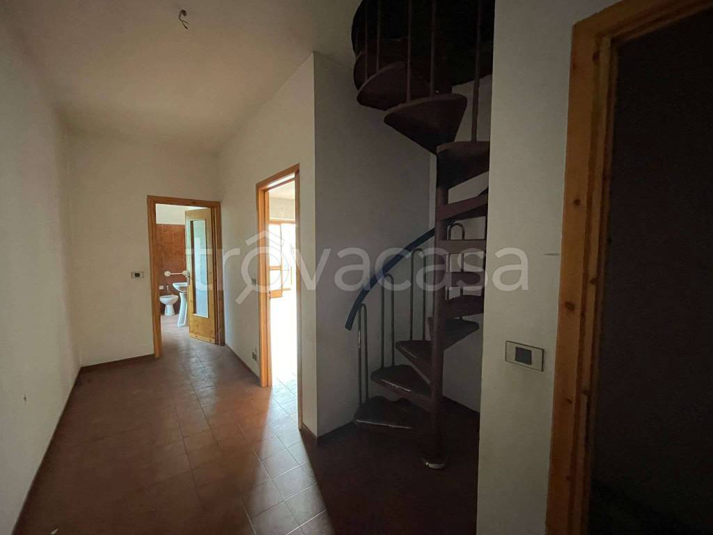 immagine annuncio 7 di 14