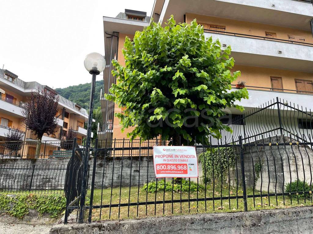immagine annuncio 9 di 14