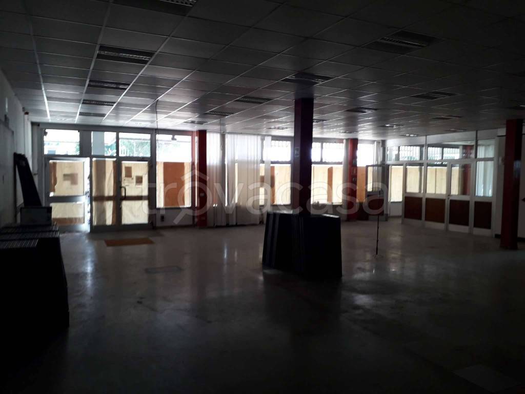 immagine annuncio 2 di 7