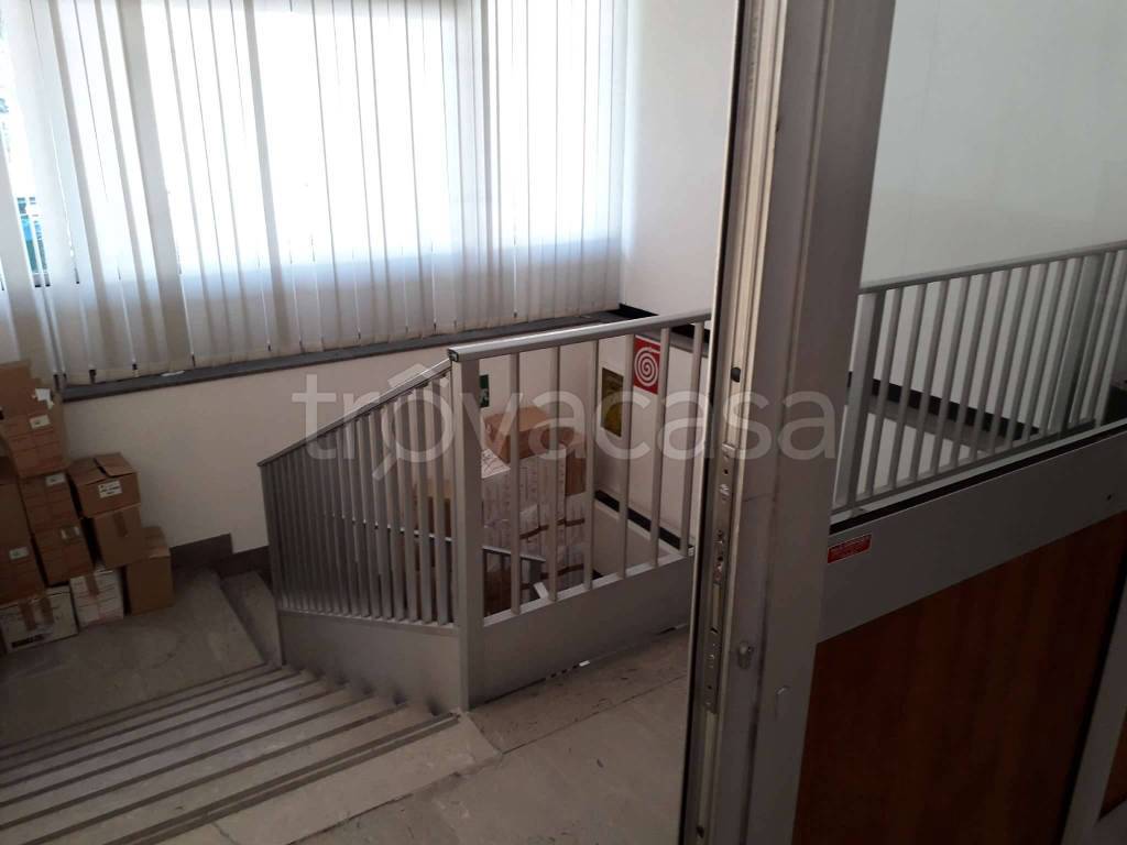 immagine annuncio 4 di 7