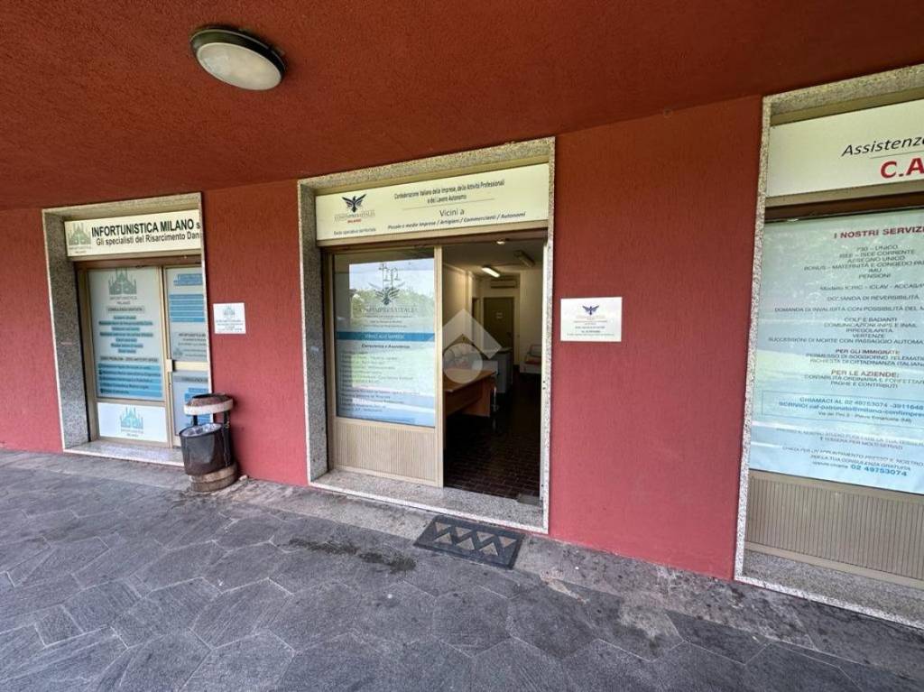 immagine annuncio 12 di 15