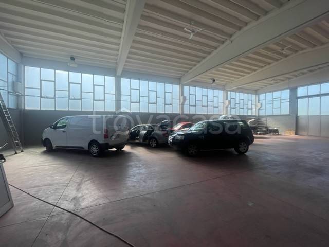 immagine annuncio 7 di 13