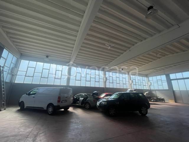 immagine annuncio 8 di 13