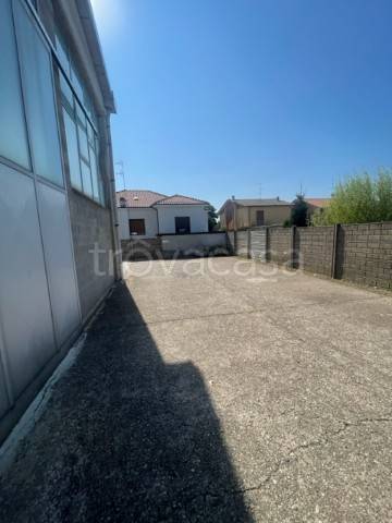 immagine annuncio 10 di 13