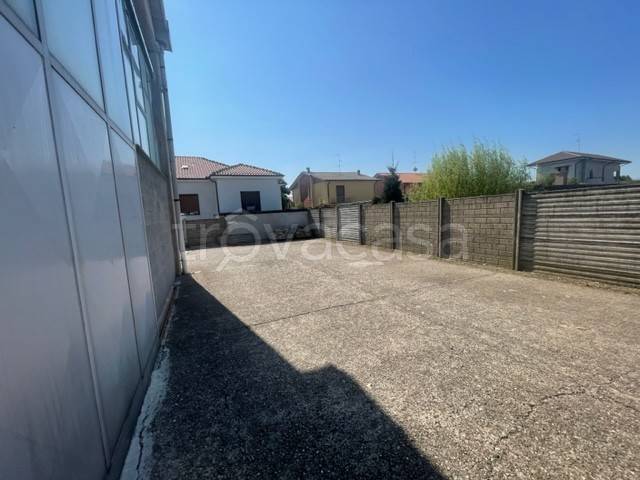 immagine annuncio 11 di 13