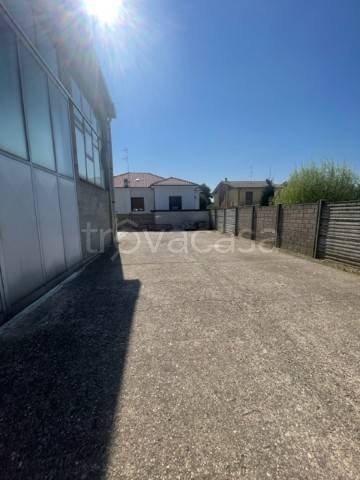 immagine annuncio 12 di 13