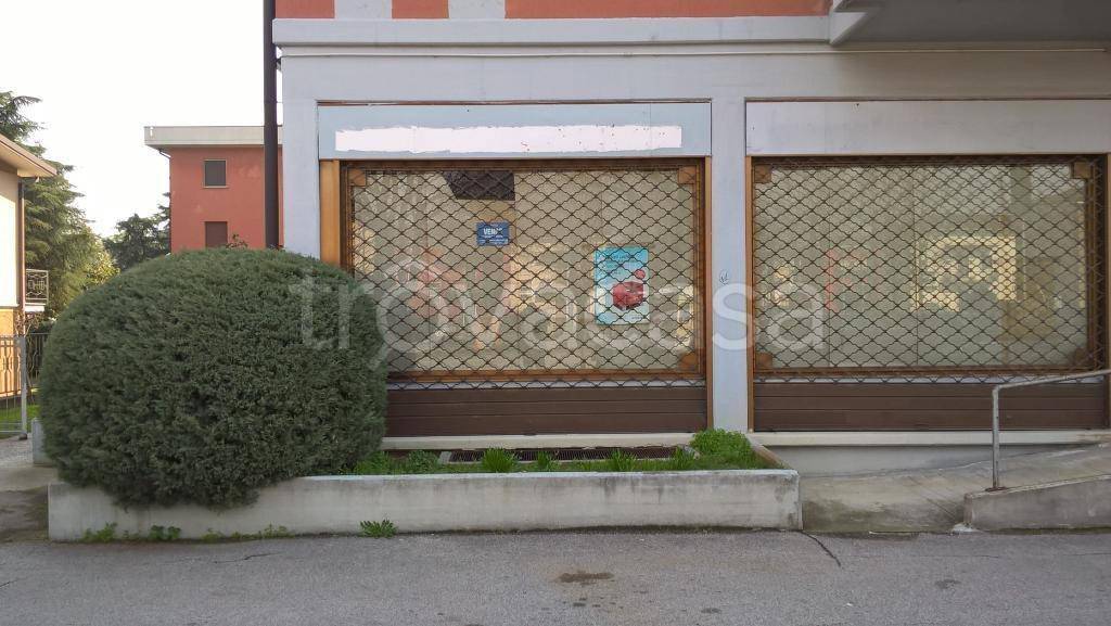 immagine annuncio 3 di 12