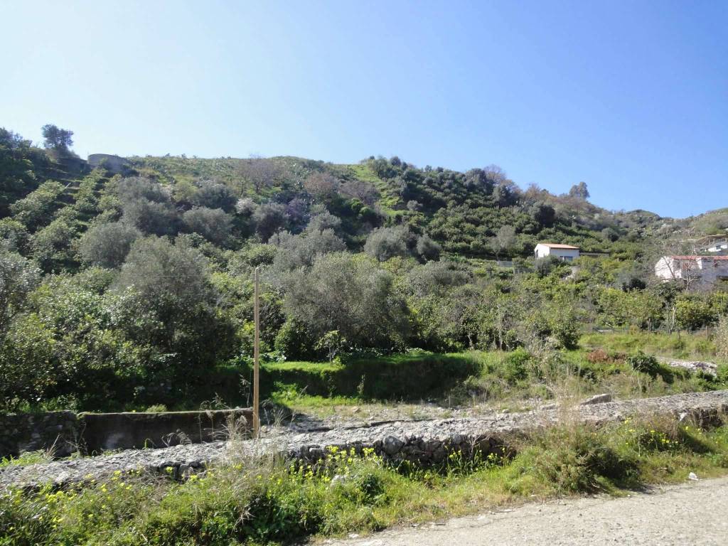 Terreno Agricolo in vendita a Nizza di Sicilia contrada Landro