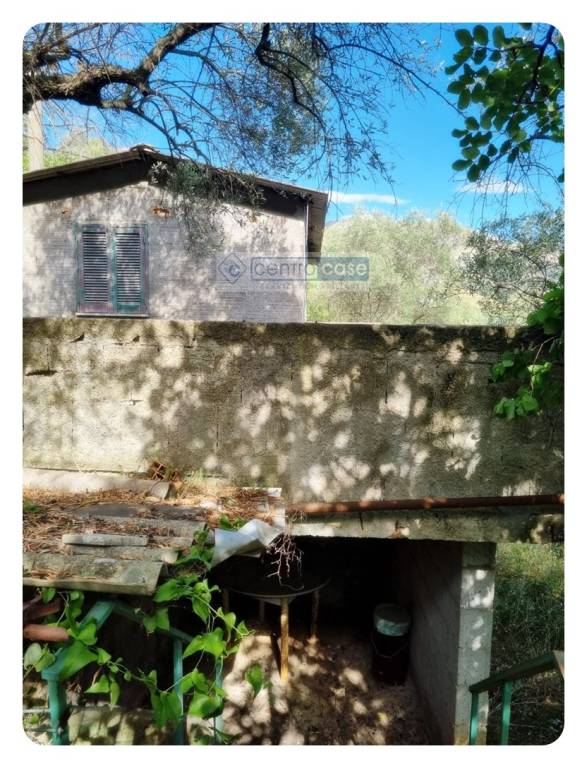 immagine annuncio 4 di 7