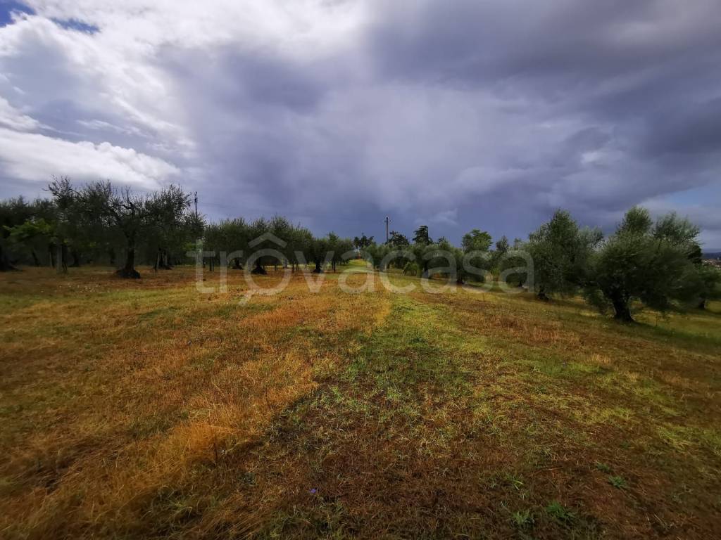 immagine annuncio 6 di 9