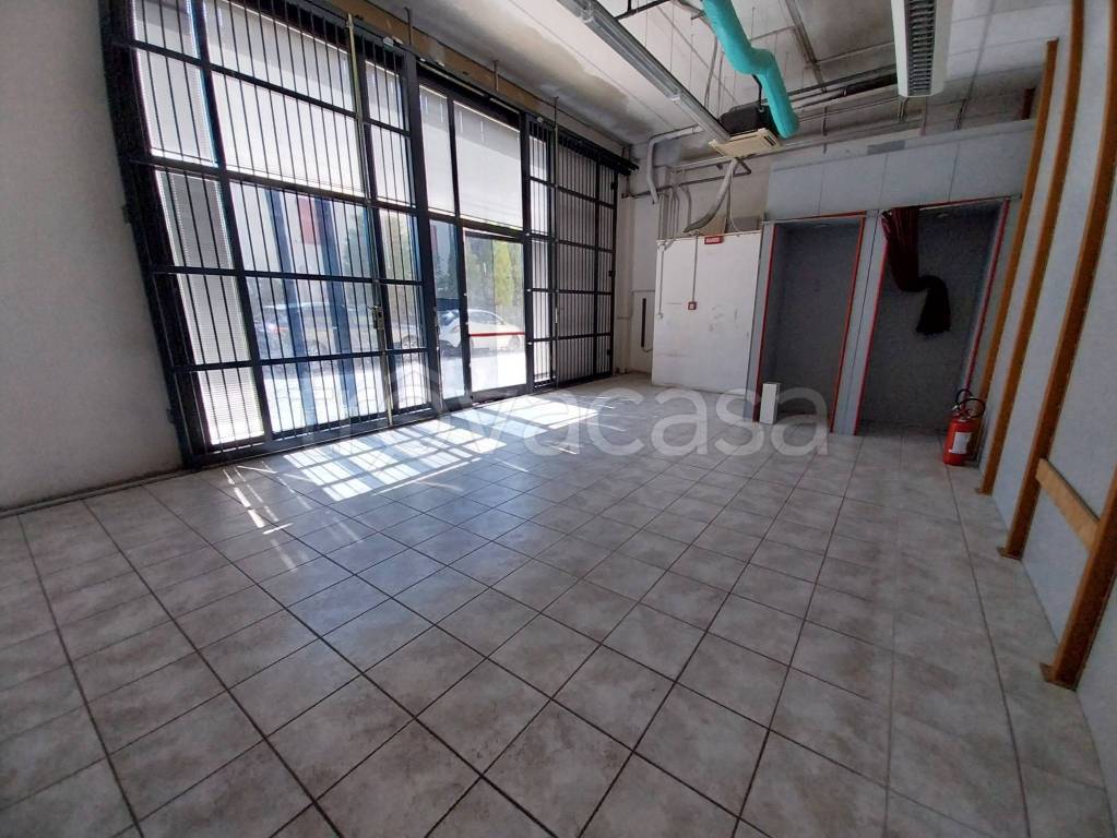 immagine annuncio 6 di 7