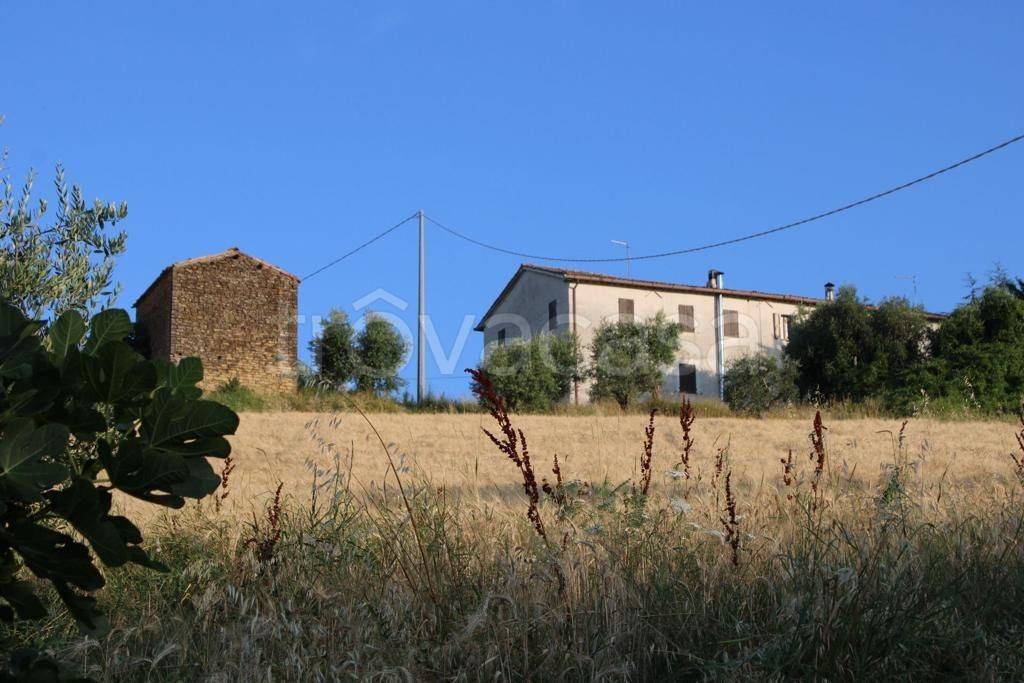 Casale in in vendita da privato ad Arcevia frazione Avacelli