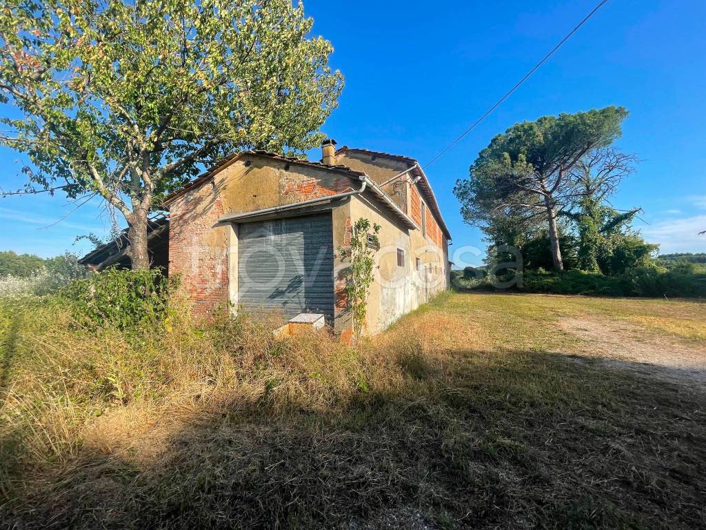 immagine annuncio 7 di 14