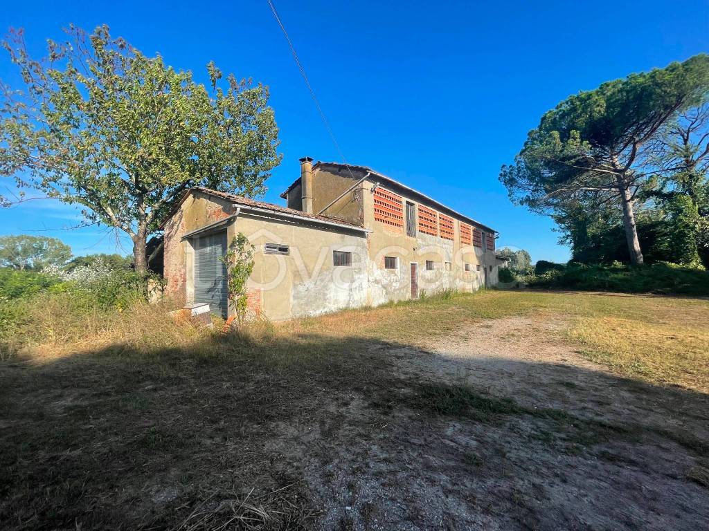 immagine annuncio 6 di 14