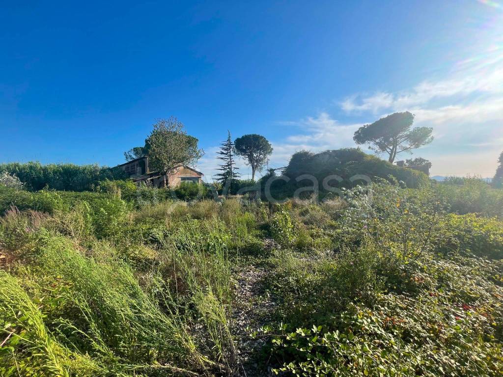 immagine annuncio 9 di 14