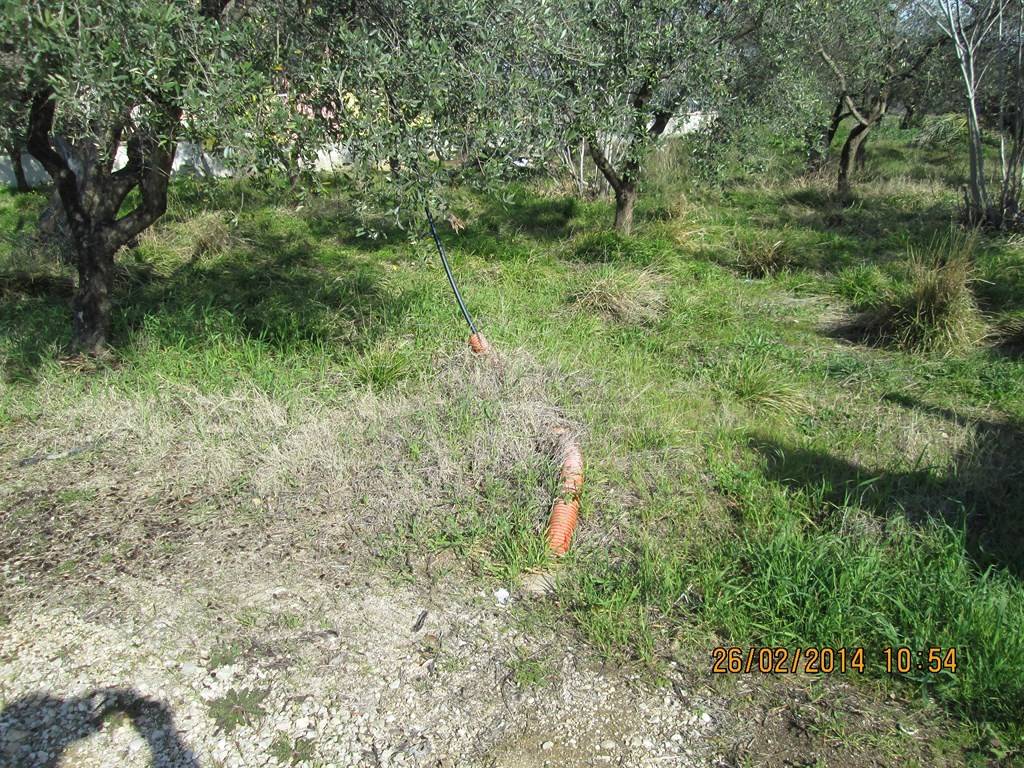 immagine annuncio 6 di 9
