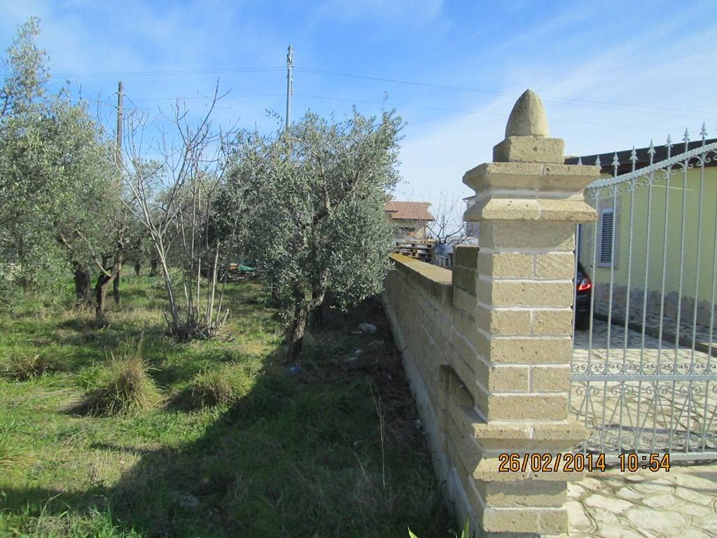 immagine annuncio 7 di 9