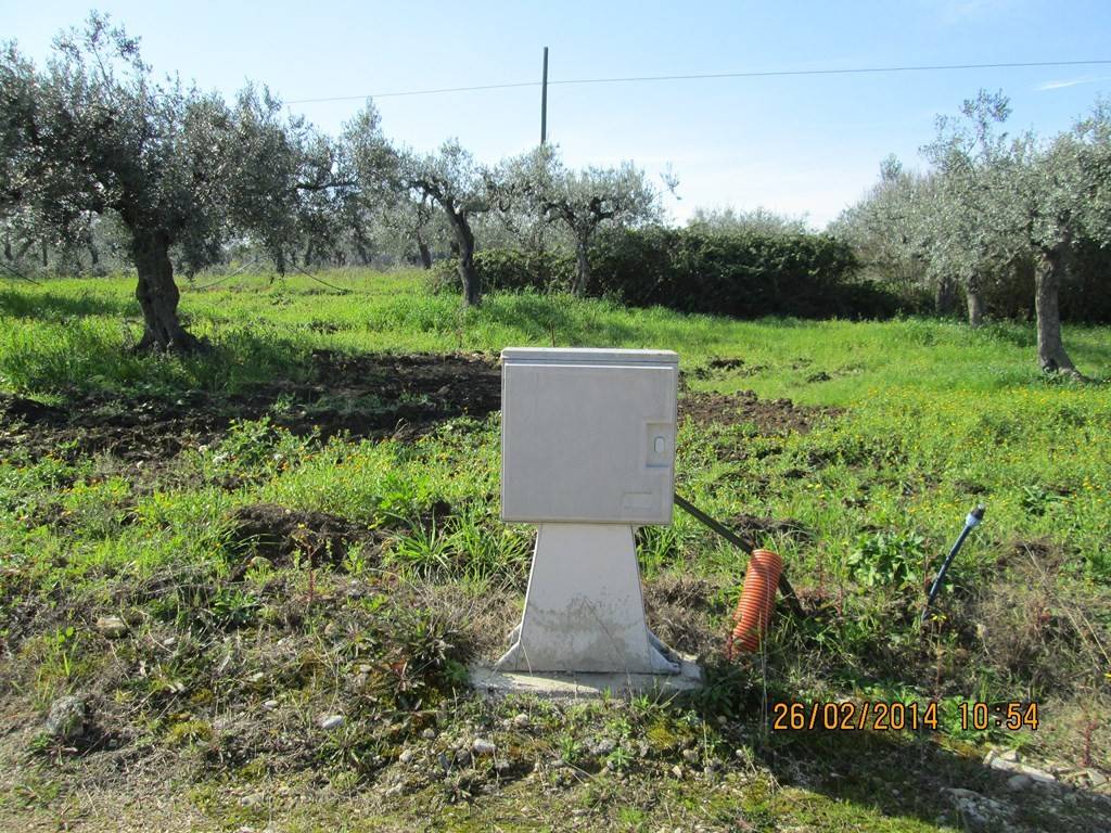 immagine annuncio 8 di 9