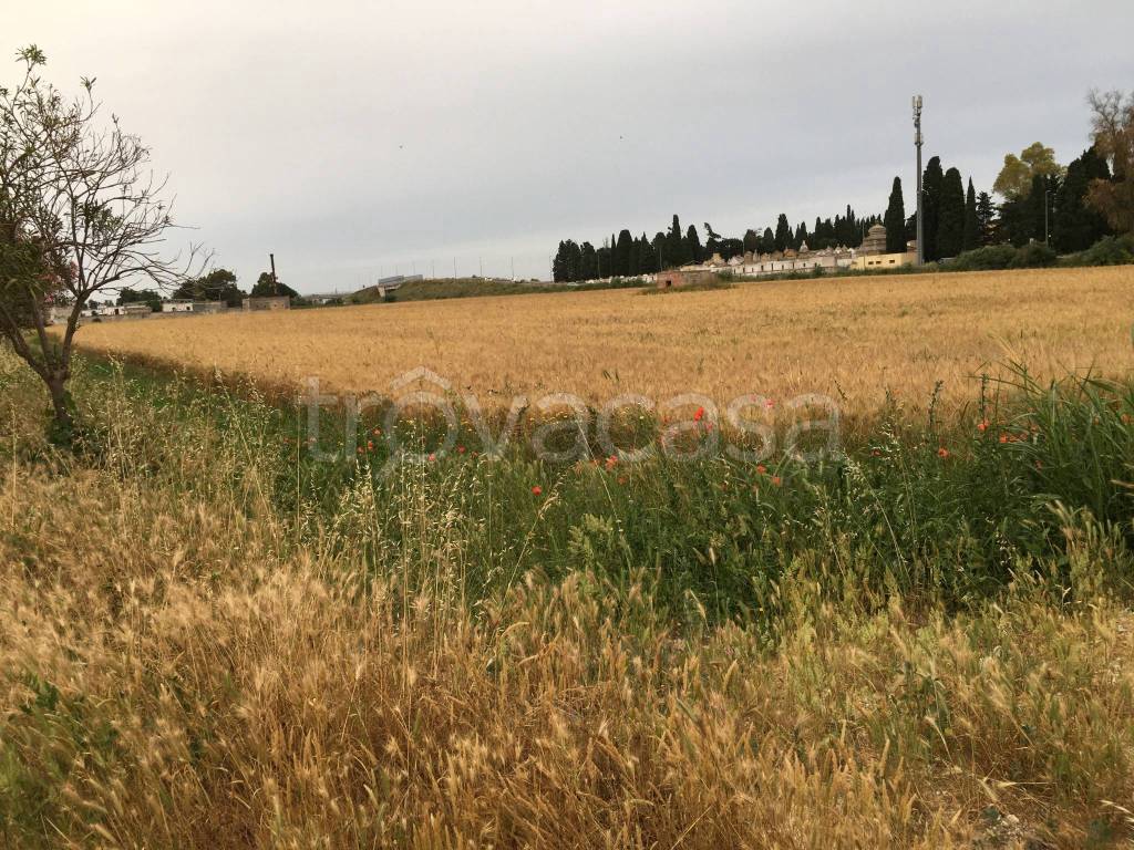 immagine annuncio 4 di 6