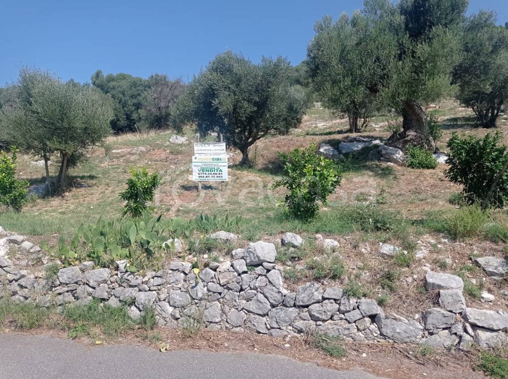 immagine annuncio 6 di 8