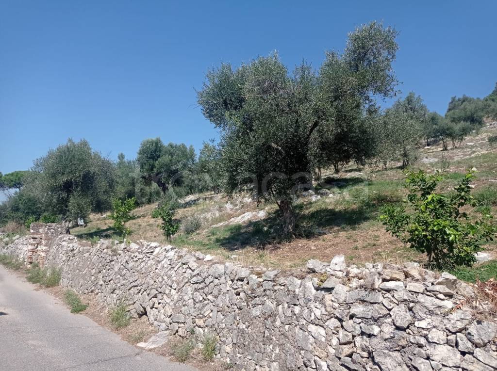 immagine annuncio 3 di 8