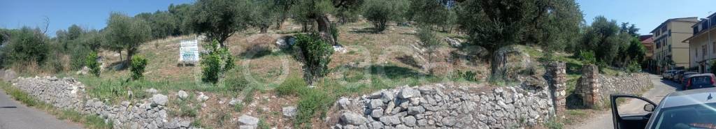 immagine annuncio 5 di 8