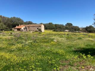 Rustico in vendita ad arzachena loc li muri