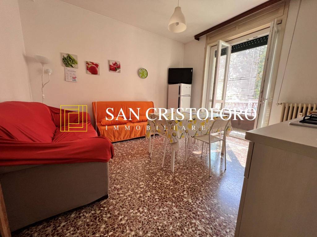 immagine annuncio 3 di 14