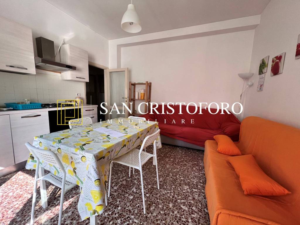 immagine annuncio 4 di 14