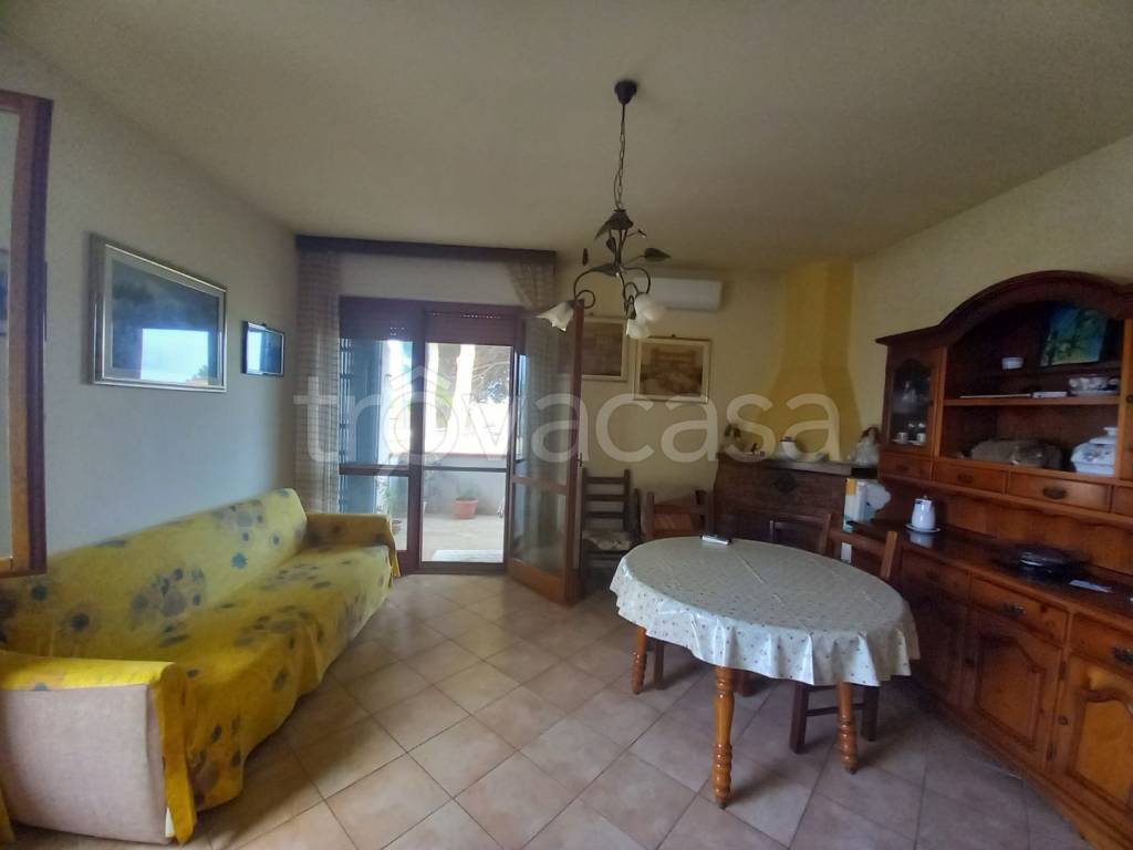 Appartamento in in vendita da privato a Vecchiano via Ulisse Dini, 3
