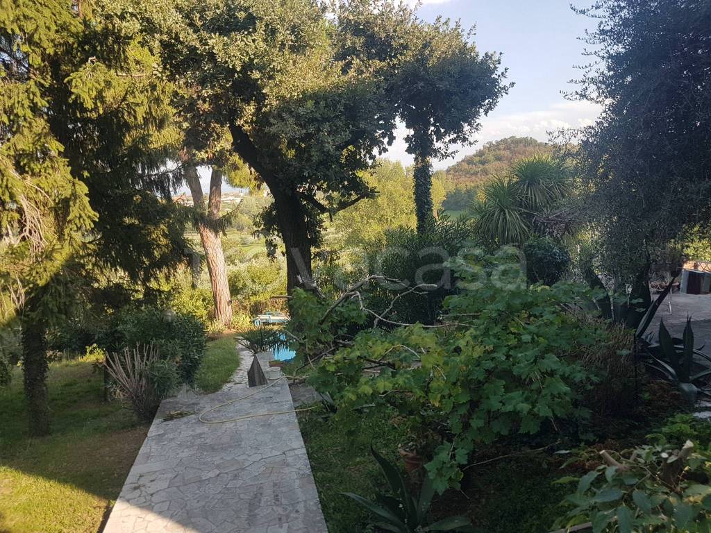 immagine annuncio 2 di 7