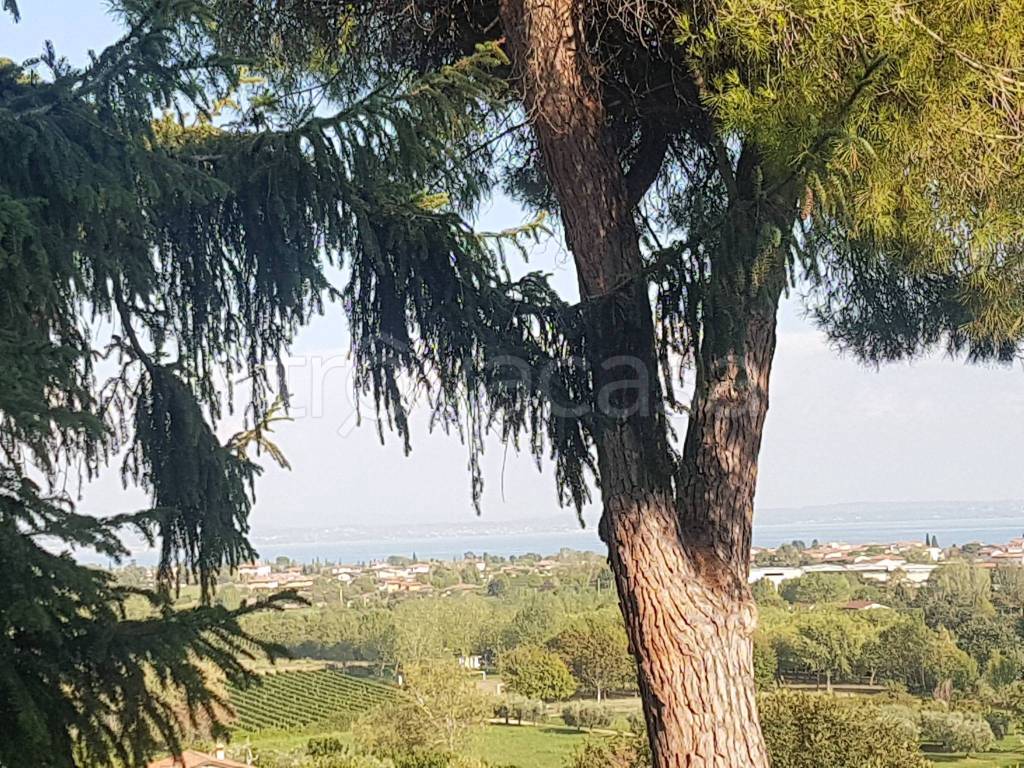 immagine annuncio 4 di 7