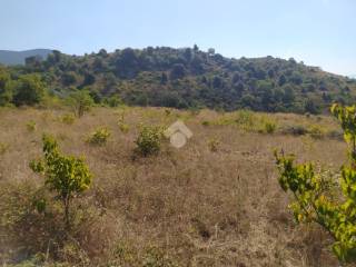 Terreno agricolo in vendita a piedimonte san germano via parito