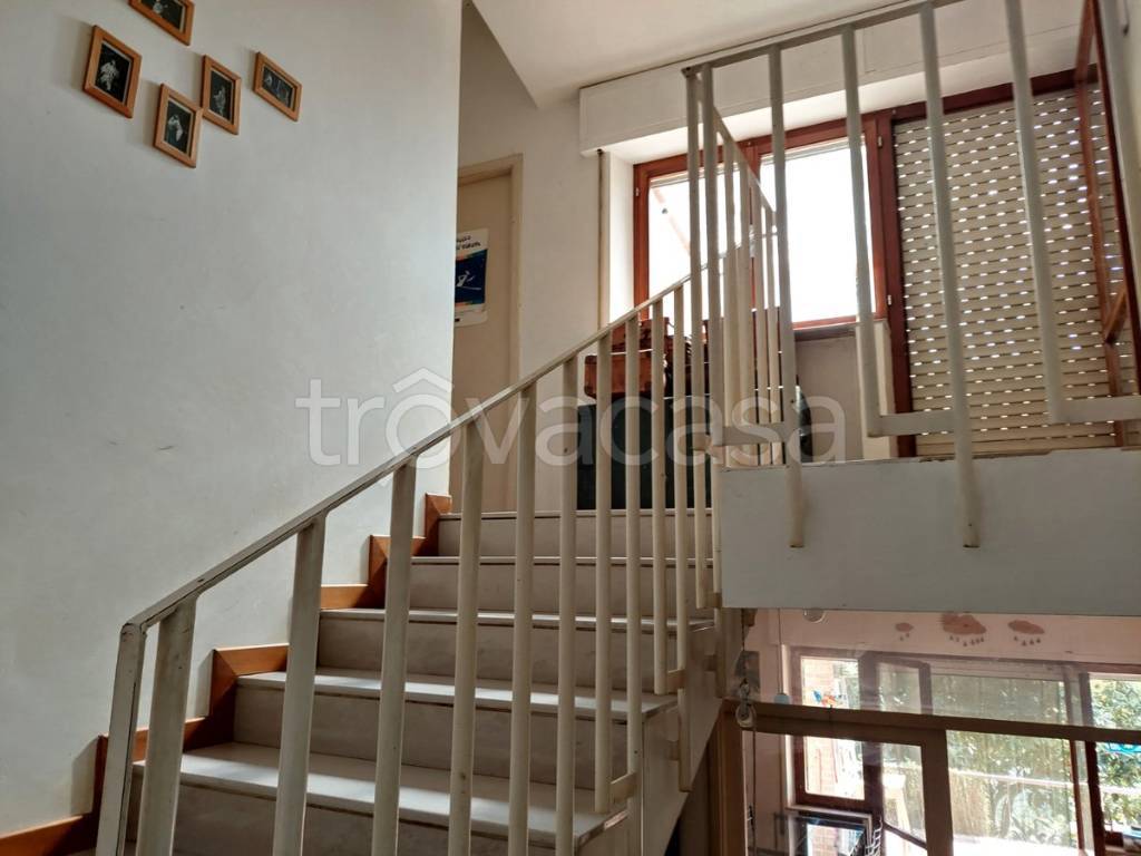 immagine annuncio 9 di 12
