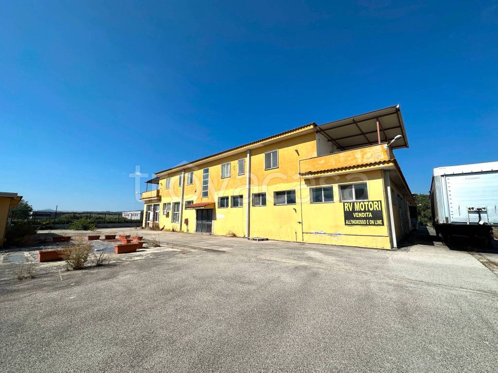 Capannone Industriale in vendita a San Salvatore Telesino via Cese Nove, 4