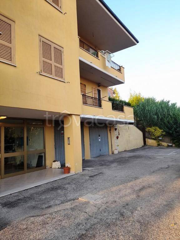 immagine annuncio 2 di 12