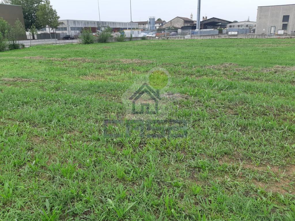 immagine annuncio 6 di 8