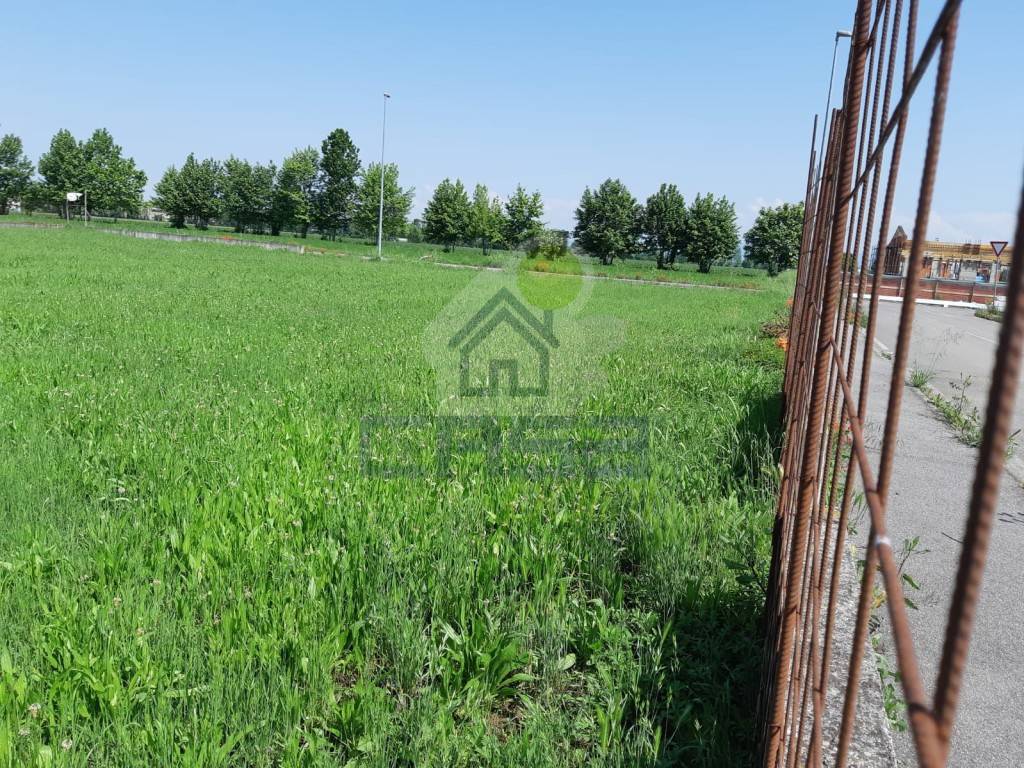 immagine annuncio 7 di 8