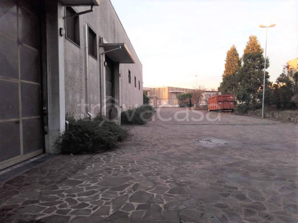 immagine annuncio 10 di 15