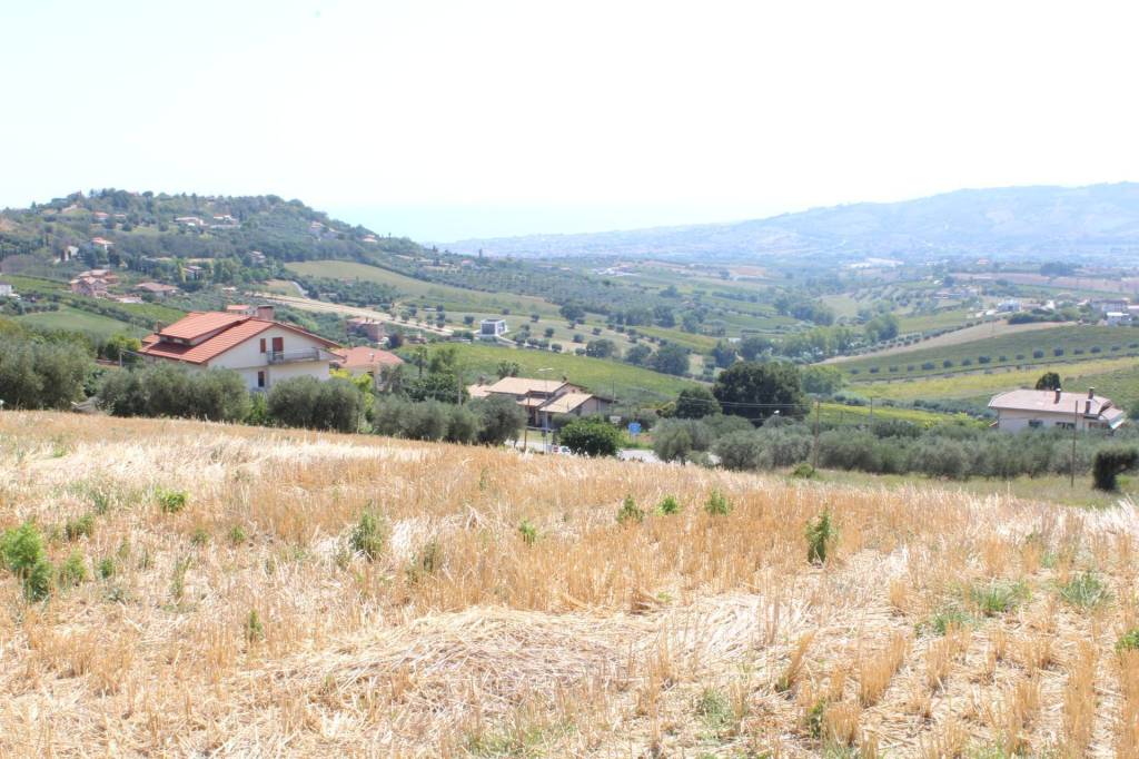 immagine annuncio 10 di 14