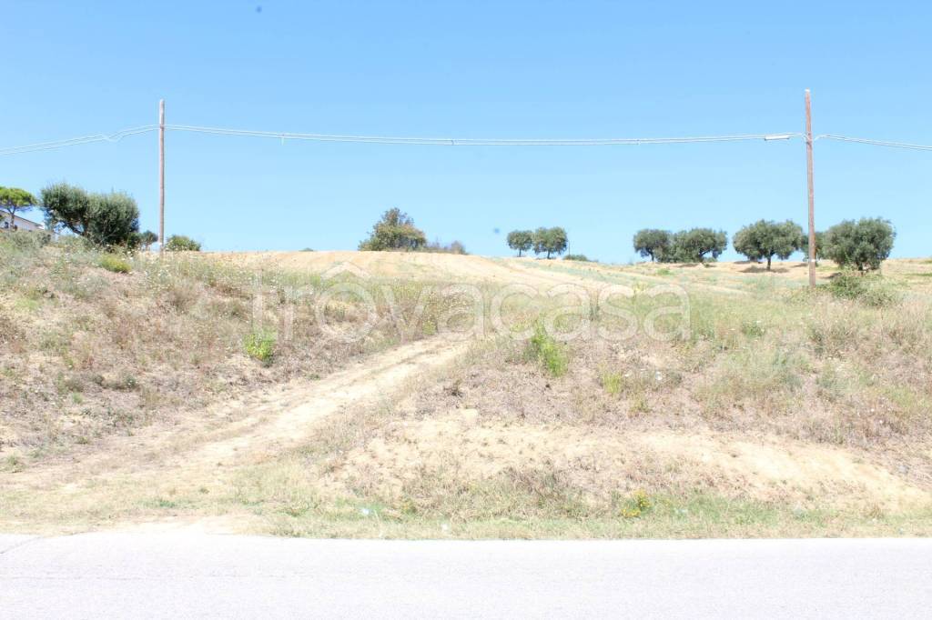 immagine annuncio 6 di 14