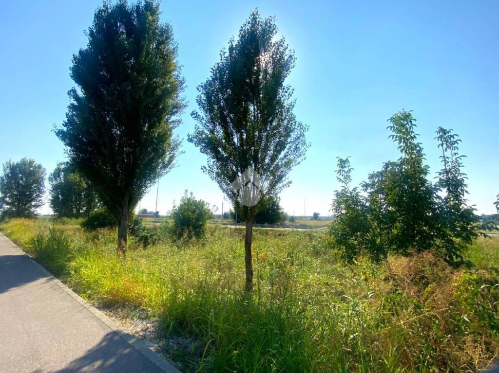 immagine annuncio 3 di 7