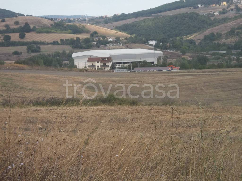 Terreno Agricolo in vendita a Potenza contrada San Luca Scafarelli