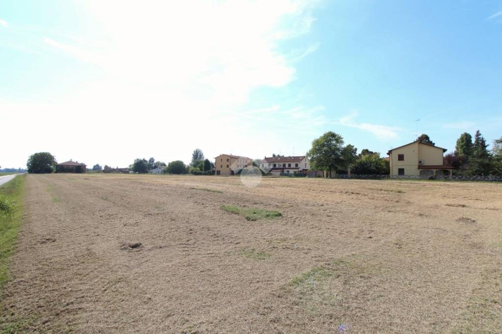 Terreno Residenziale in vendita a Castello d'Argile via quattro vie, 1