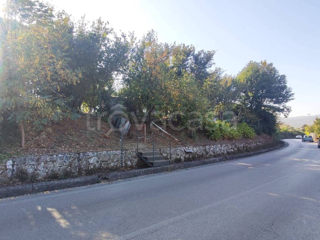 immagine annuncio 5 di 9