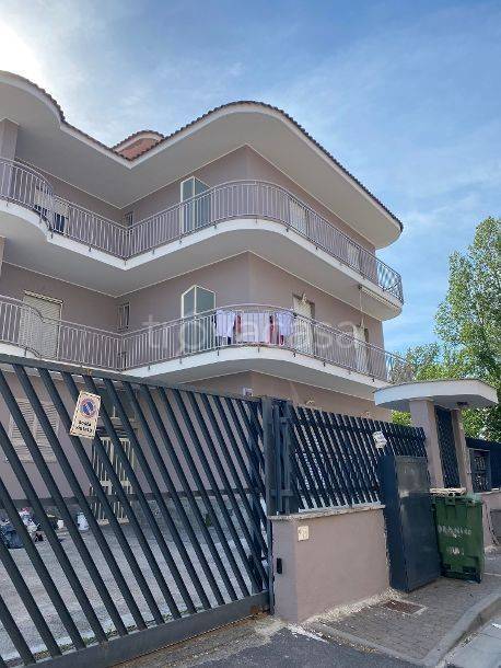 immagine annuncio 12 di 13