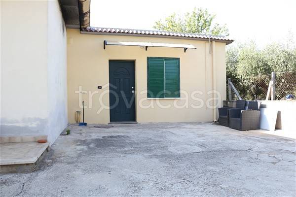 immagine annuncio 11 di 13
