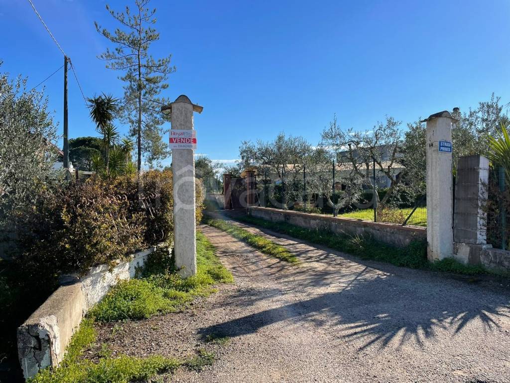 immagine annuncio 1 di 7